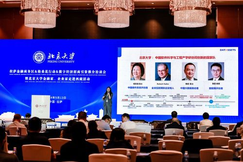 數字經濟新引擎 2024拉薩金融商務區格桑花行動招商引資洽談會啟航